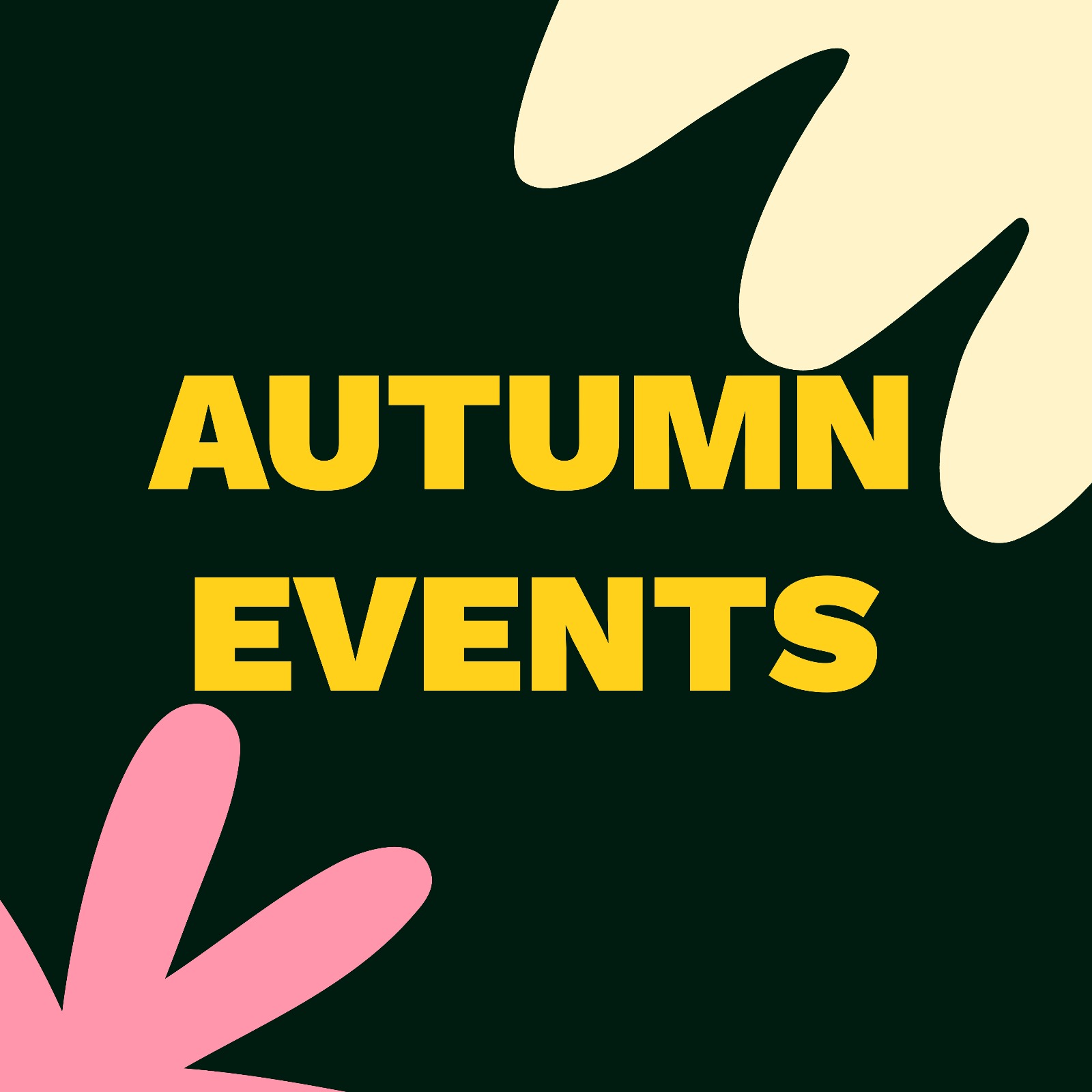 Autumn Events at SOLAS Eco