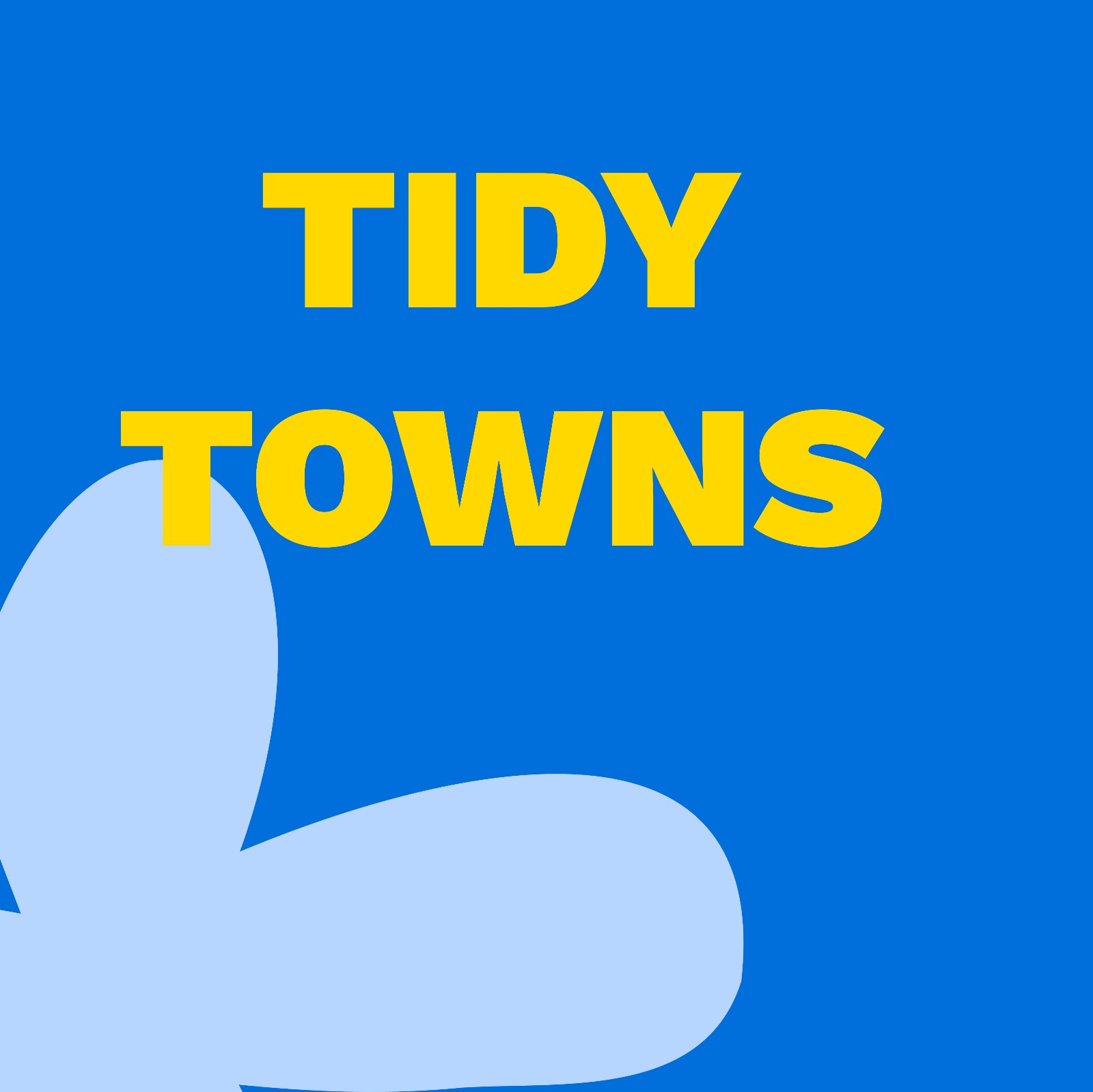 Tidy Towns at SOLAS