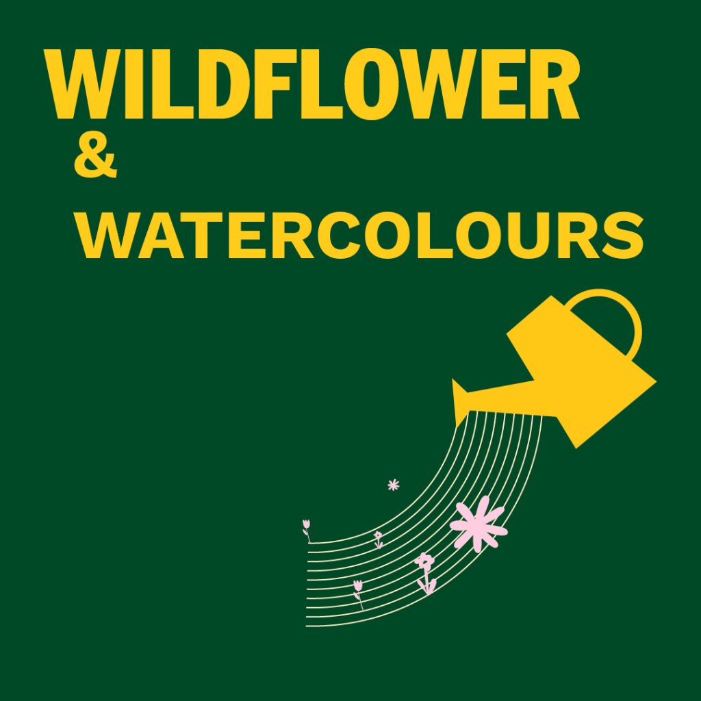 Wildflower and Watercolours @SOLAS